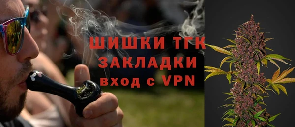 твердый Аркадак