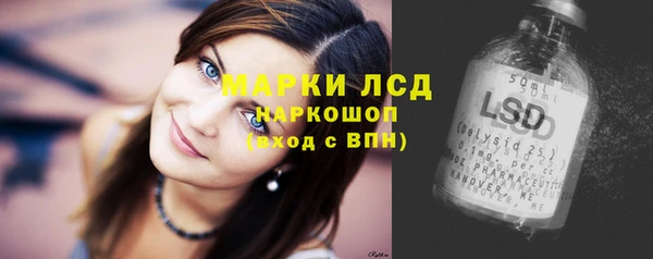 гашик Арсеньев