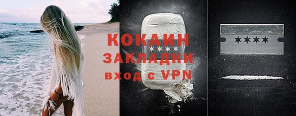 твердый Аркадак