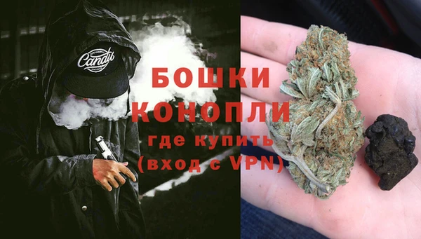 гашик Арсеньев
