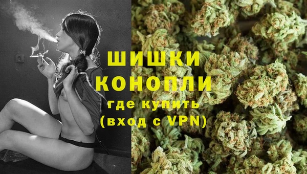 гашик Арсеньев