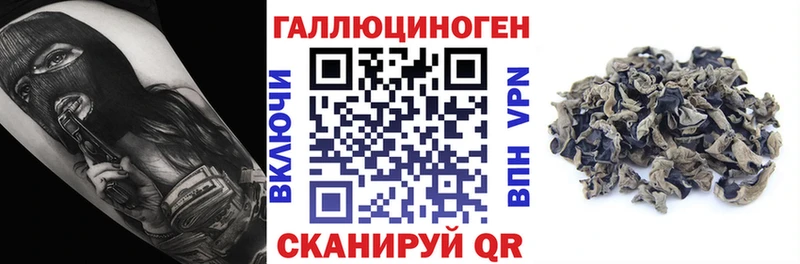 hydra маркетплейс  Павлово  Галлюциногенные грибы Psilocybine cubensis 