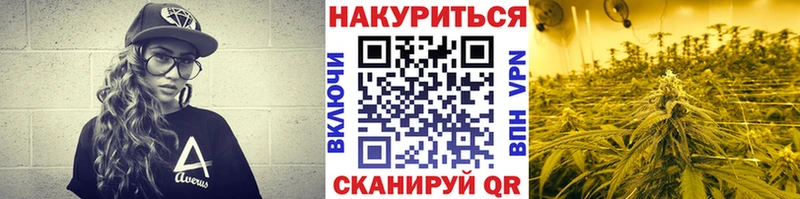 Канабис семена наркотики omg ССЫЛКА Павлово
